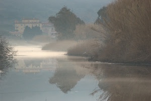 nebbia, fiume, acqua, riflesso, alberi, riflessi, case, autunno