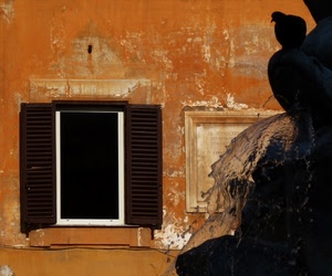 finestra, acqua, fontana, persiane, muro, uccello, colombo, piccione