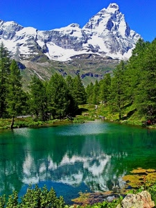 lago, montagna, riflesso, neve, alberi, verde, acqua, riflessi