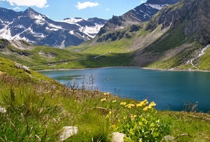 neve, lago, fiori, montagna, acqua, montagne, nuvole, cielo, erba, verde, giallo, natura