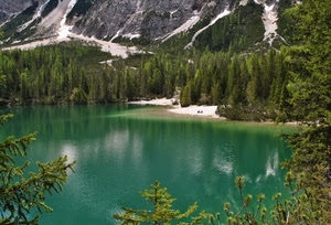lago, verde, neve, alberi, montagna, acqua, natura, abeti, pini