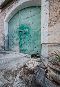 gatto, lucchetto, verde, portone, porta, chiavistello, catenaccio, vaso, arco