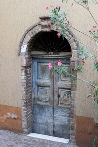 porta, arco, fiori, legno, numero, fiore, albero, rosa, portone, muro