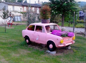 fiori, rosa, automobile, giardino, prato, alberi, auto