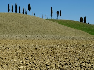 terra, alberi, verde, cielo, azzurro, colline, cipressi, zolle, erba, campagna, prato, collina, campi