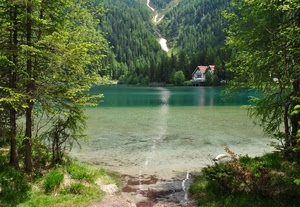 alberi, lago, acqua, montagna, verde, casa