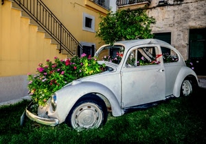 fiori, auto, maggiolino, bianco, automobile, scala, prato, macchina, piante, aiuola