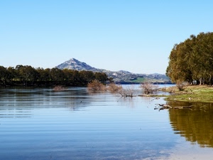 acqua, lago, alberi, montagna, rami, riflessi, azzurro