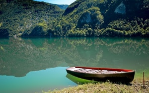 barca, lago, alberi, acqua, riflesso, montagna, riflessi, verde