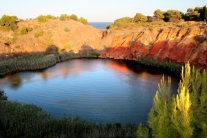 lago, riflesso, acqua, alberi, rocce, mare, laghetto, terra