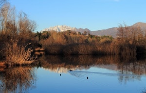 montagne, lago, acqua, piante, montagna, riflessi, alberi, riflesso, cielo
