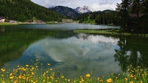 lago, fiori, montagna, riflesso, alberi, acqua, giallo, gialli, montagne