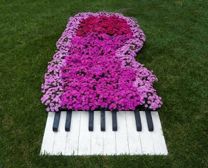 fiori, rosso, tasti, erba, prato, verde, bianco, rosa, nero, tastiera, viola, pianoforte, aiuola, giardino