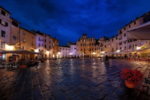piazza, luci, case, blu, fiori, finestre, riflessi, cielo, ombrelloni, vaso, notturno, notte, palazzi, tavoli, sedie, lucca, sera, vasi, crepuscolo, pioggia