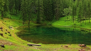 lago, alberi, panchina, montagna, verde, acqua, riflessi, laghetto, paesaggio