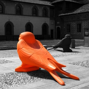 uccelli, statue, nero, arancione, rosso, sculture, piazza, arancio, coda, plastica, cortile