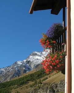 fiori, neve, balcone, montagna, alberi, cielo, tetto, montagne, verde, gerani, legno, vasi, rosso, rocce, roccia, bosco, scorcio, viola, azzurro