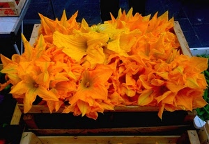 fiori, cassetta, arancio, zucca, arancione, cibo, giallo, petali, legno, mercato
