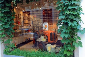 trattore, vetrina, verde, foglie, riflesso, edera, piatti, vetro