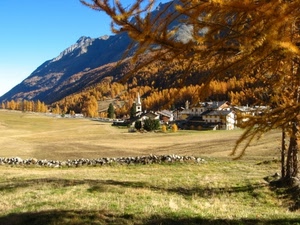 autunno, paese, montagna, alberi, panorama, paesaggio, prato, chiesa, campanile