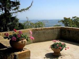 vasi, fiori, panorama, alberi, rosa, verde, gerani, terrazzo, terrazza, parapetto, cielo, ombre, foglie, angolo, azzurro, mattoni, balcone, ombra, rami