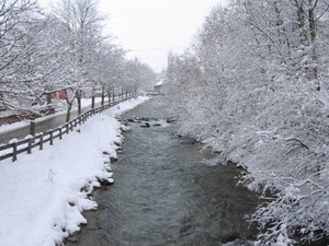 neve, inverno, alberi, acqua, fiume, bianco, torrente, steccato, staccionata