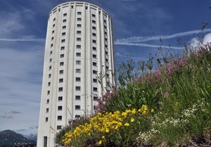 fiori, grattacielo, cielo, finestre, giallo, torre, erba, palazzo