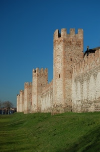cielo, torri, merli, castello, verde, prato, azzurro, mura, mattoni, torre, alberi, fossato, erba, fortificazione