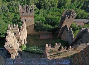 castello, merli, alberi, torri, verde, rudere, piante