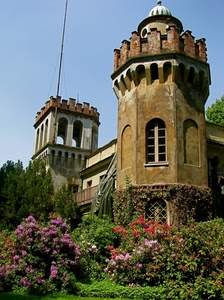 fiori, castello, torri, merli, giardino, torre, finestra, finestre, verde, villa, piante