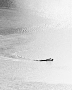 mare, barca, scia, acqua, bianconero, onde, motoscafo, imbarcazione