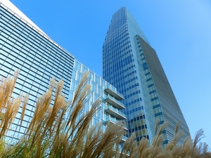 grattacielo, finestre, erba, balconi, vetri, vetro, azzurro, grattacieli, palazzi