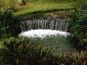 acqua, cascata, verde, piante, schiuma, fiume, erba, prato
