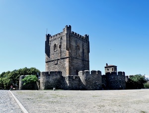 torre, castello, merli, cielo, alberi, monumento, fortificazione, piazza, fortezza, torri