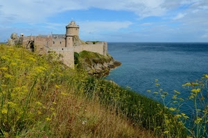 mare, castello, torre, cielo, fiori, erba, nuvole, paesaggio, fortezza, piante, costa