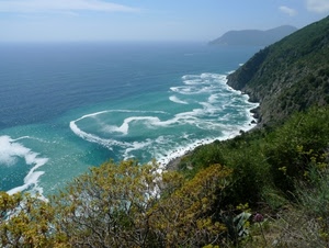 mare, onde, panorama, costa, alberi, piante, schiuma, scogliera, acqua