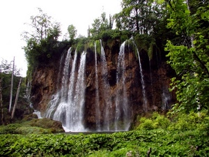 acqua, cascata, verde, alberi, roccia, natura, fiume, piante, cascate