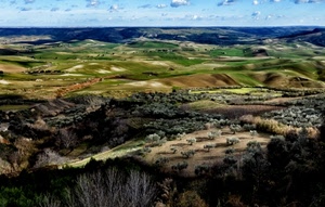 panorama, colline, alberi, nuvole, paesaggio, campi, verde, prati, azzurro, orizzonte, piante