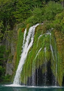 acqua, cascata, verde, alberi, fiume, erba, cascate
