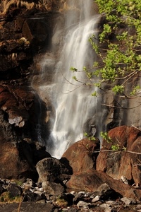 cascata, acqua, verde, rocce, foglie, marrone, rami, bianco, sassi, roccia, massi, albero, salto, piante