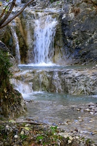 acqua, cascata, rocce, rami, fiume, torrente, montagna, sassi, erba, schiuma, bosco