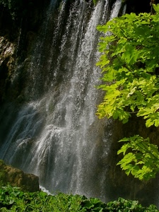 acqua, foglie, cascata, rocce, verde, piante, roccia, rami, alberi