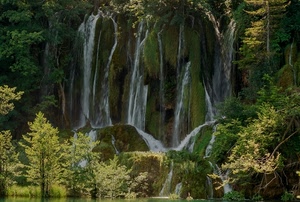 acqua, alberi, cascata, verde, piante, rocce, natura, cascate