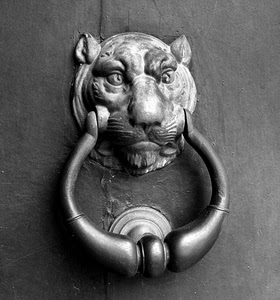 leone, porta, batacchio, portone, bianconero, maniglia, occhi, metallo, animale, battiporta, bronzo, anello, ferro, orecchie, legno, muso, naso