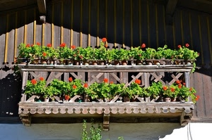 balcone, fiori, legno, vasi, gerani, baita, montagna, ombra, verde
