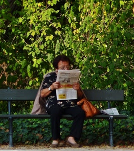 panchina, giornale, leggere, donna, borsa, verde, signora, occhiali