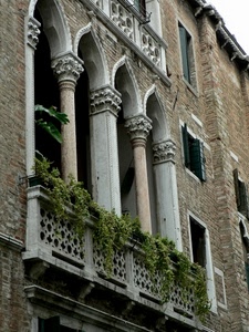 balcone, colonne, piante, finestre, archi, capitelli, verde, palazzo, edera, vasi