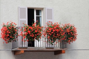 balcone, fiori, gerani, vasi, finestra, bianco, rossi, ringhiera, rosso, persiane