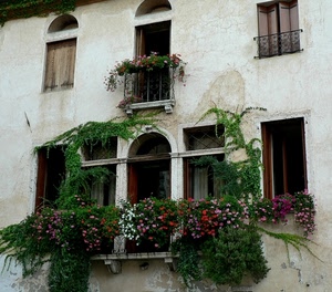 finestre, fiori, balcone, piante, archi, balconi, verde, rampicanti, vasi