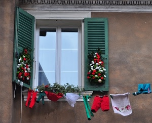 finestra, panni, fiori, persiane, filo, verde, rosso, bianco